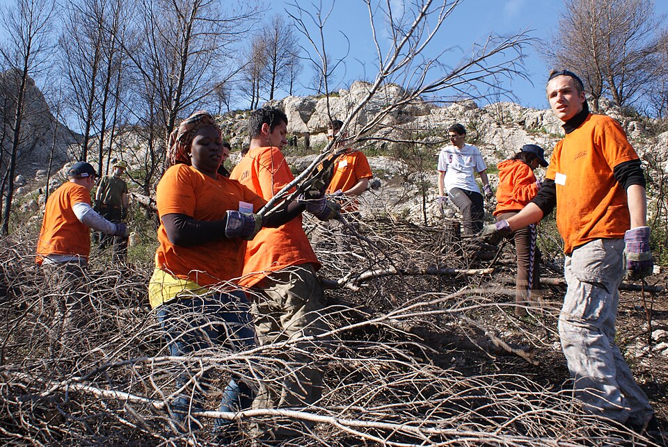 Une mission de service civique d’Unis-Cité consacrée à l’environnement.